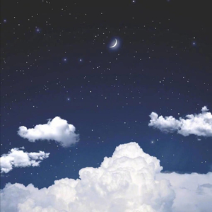 成年人观看的黄色淫秽视频
