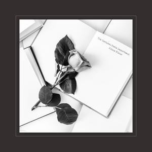 成年人观看的黄色淫秽视频
